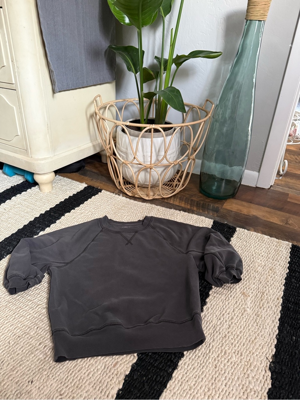 Charcoal Gray Cropped Sweatshirt